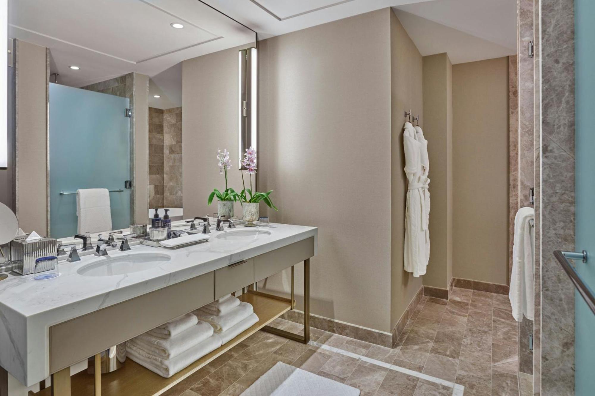 מלון The St. Regis שיקגו מראה חיצוני תמונה